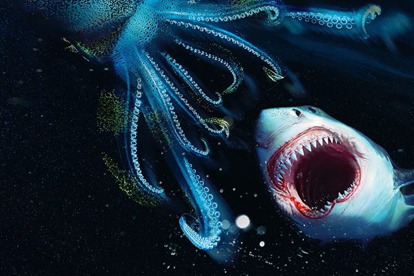 Кракен адрес даркнет